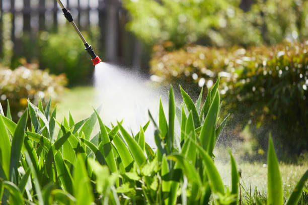Tamper-Resistant Bait Stations for Rodents in Laplace