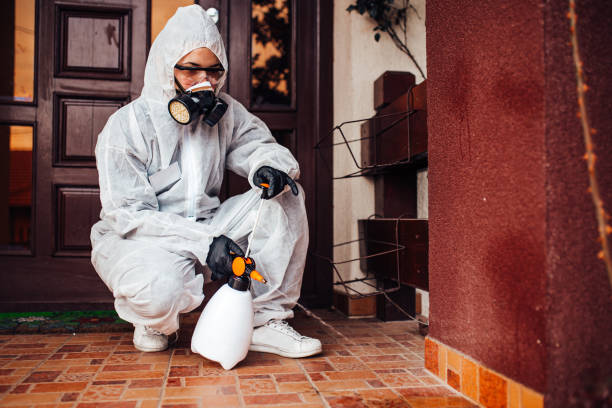 Attic and Crawl Space Rodent Treatment in Laplace
