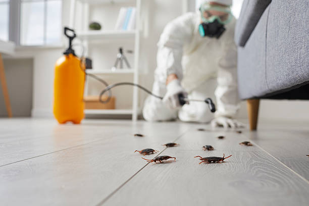 Commercial Rodent Management in Laplace